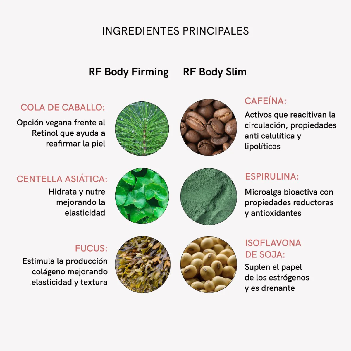RF Tratamiento Corporal Completo - Image 9