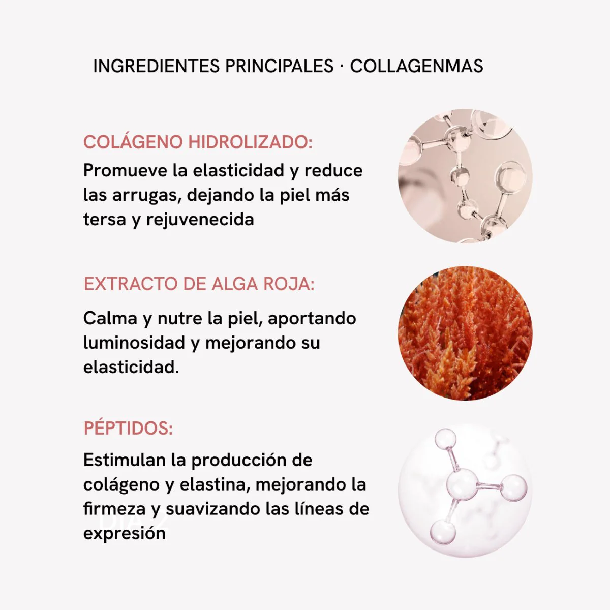 RF Tratamiento Flacidez Facial Extra Colágeno - Image 11