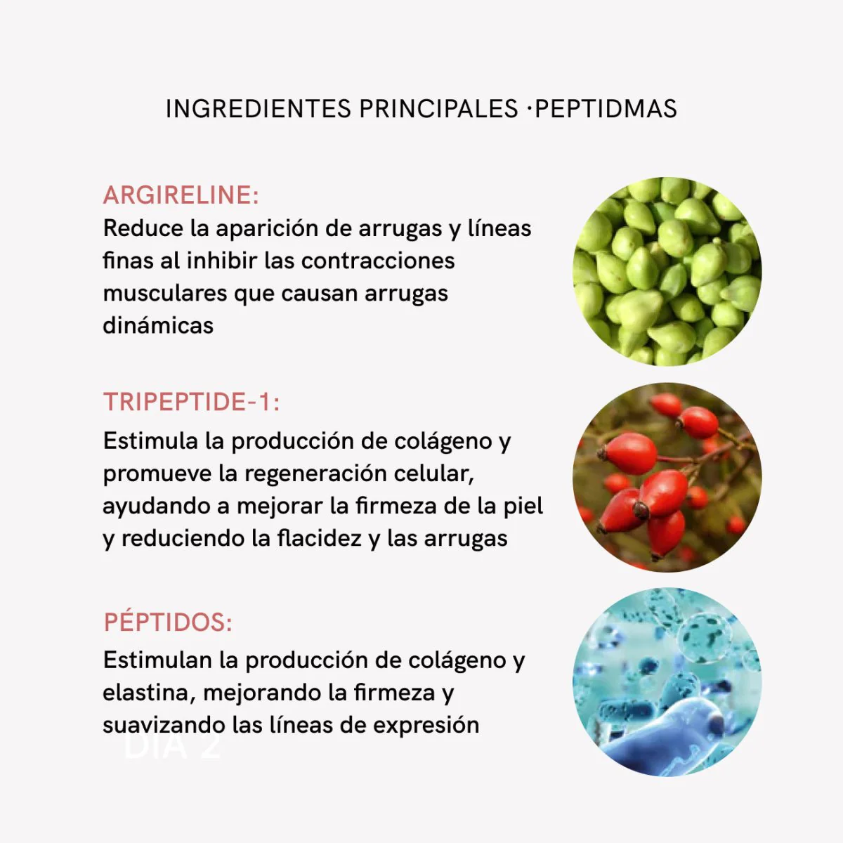 RF Tratamiento Flacidez y Arrugas - Image 12