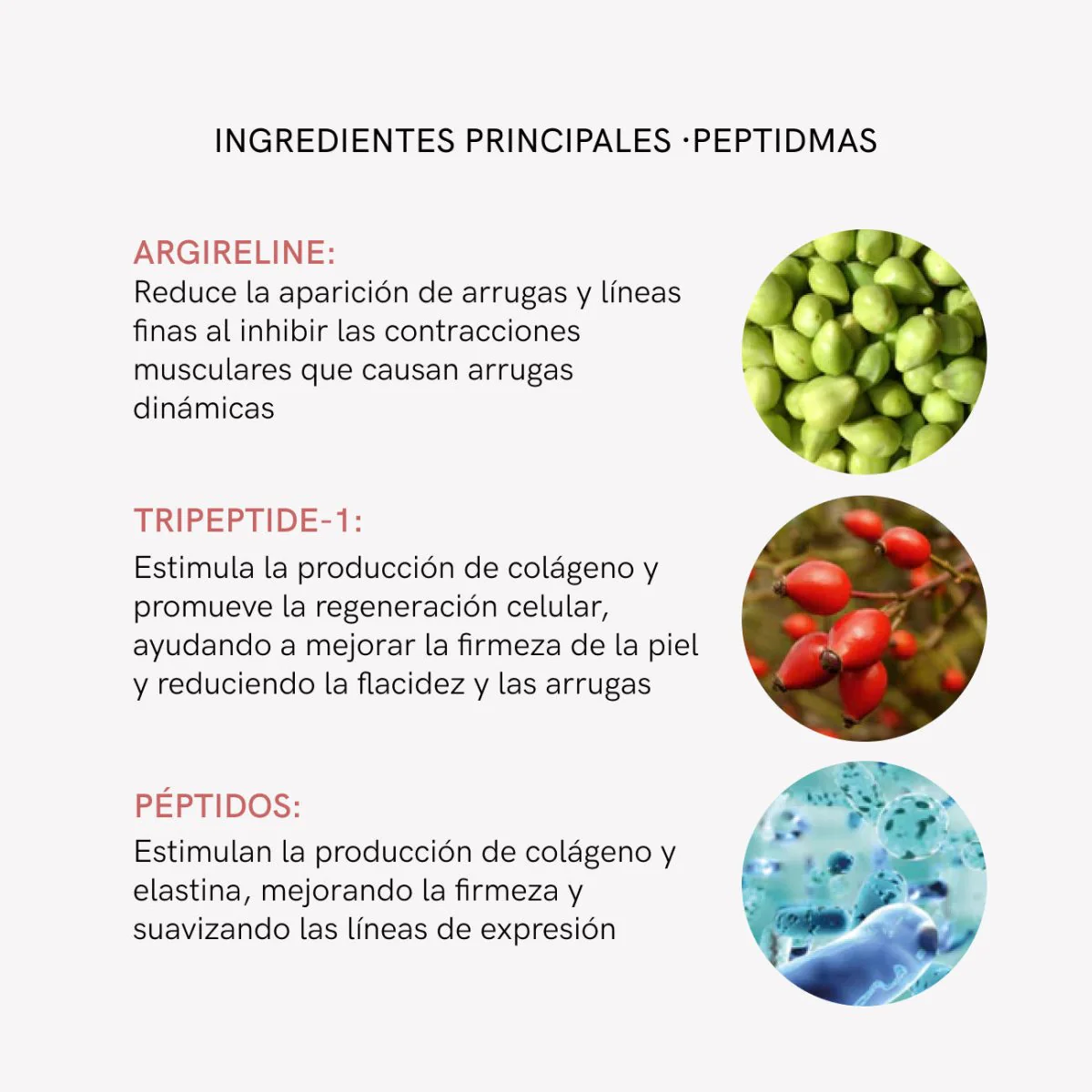 RF Tratamiento Flacidez y Arrugas Plus - Image 12