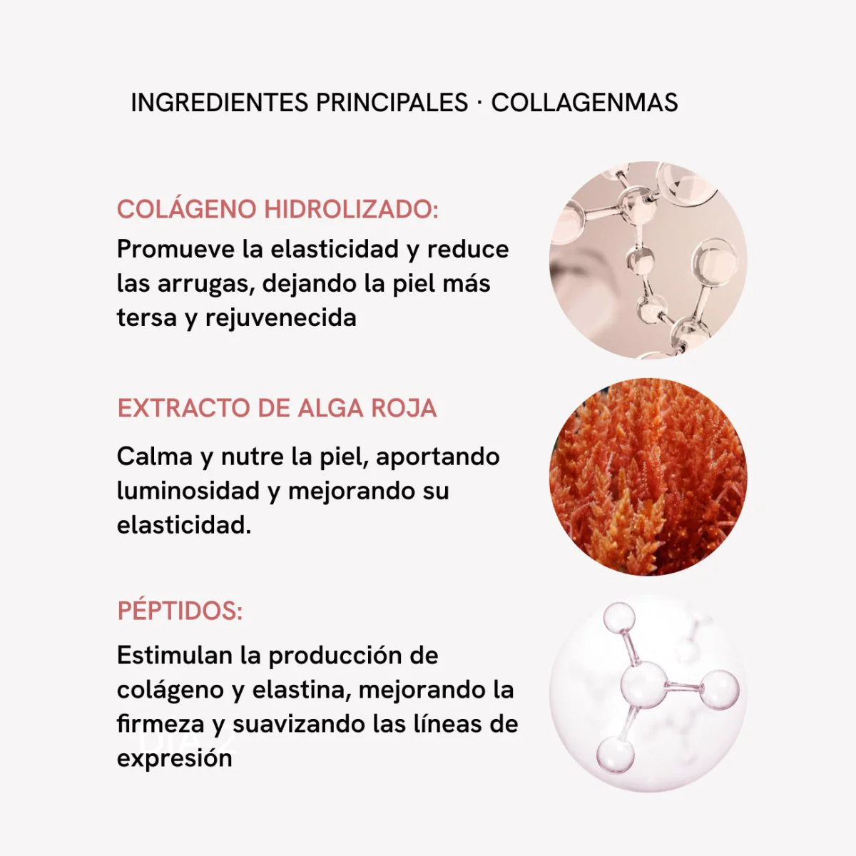 RF Tratamiento Hidratación y Firmeza Facial Plus - Image 9