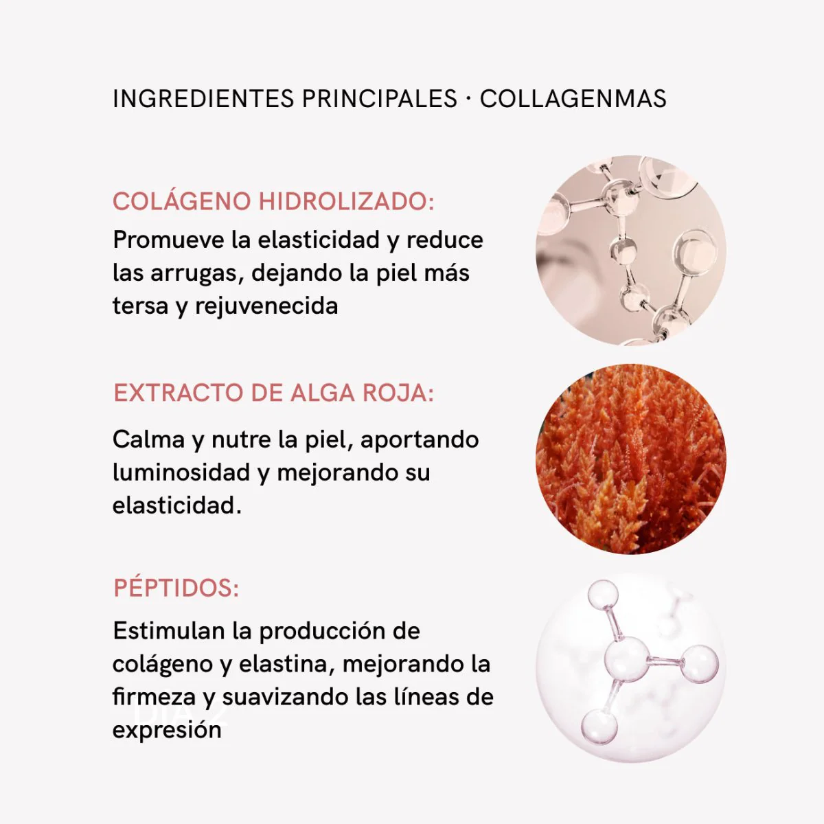 Tratamiento Antiedad Péptidos + Colágeno Intensivo - Image 11