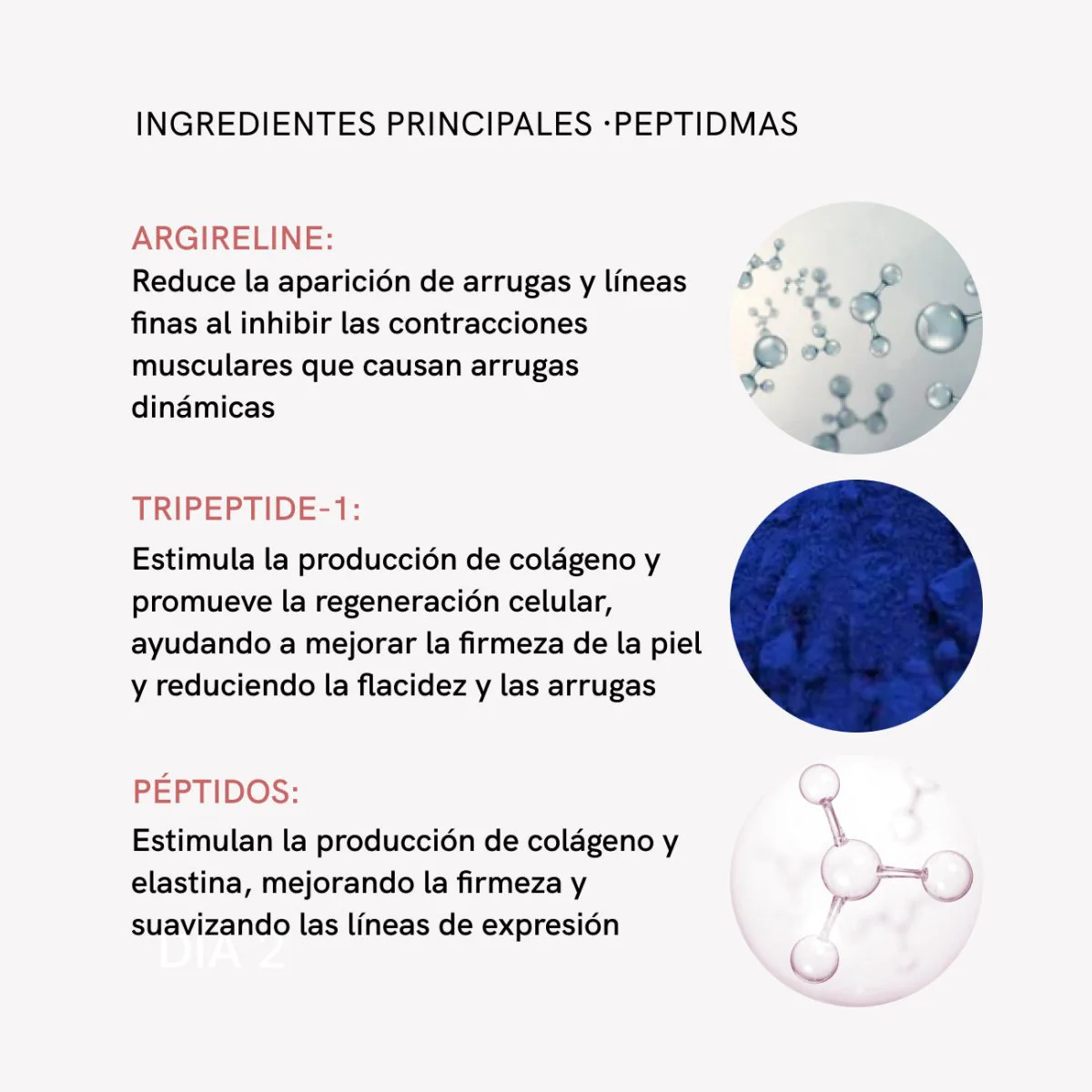 Tratamiento Antiedad Péptidos + Colágeno Intensivo - Image 12